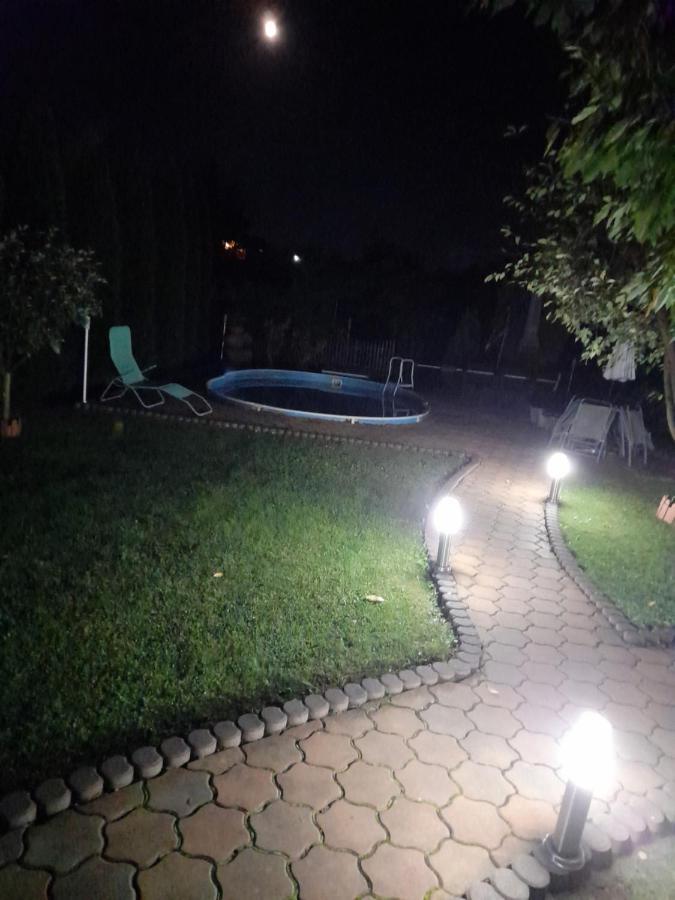 Вилла Casa Ioana Хацег Экстерьер фото