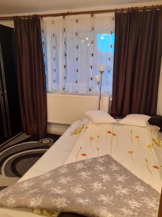 Вилла Casa Ioana Хацег Экстерьер фото
